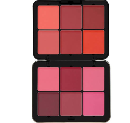 پالت رژگونه حرفه‌ای Future Makeup Professional
